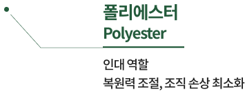 폴리에스터