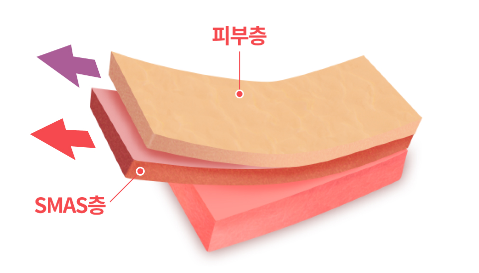 Dual Plane (듀얼플레인)