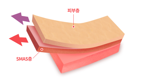 Dual Plane (듀얼플레인)