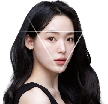 최소절개 미니거상 모델 이미지