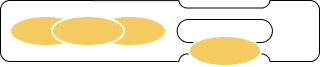 일반 지방 이미지